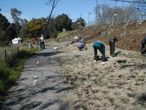 Planting and BBQ day near Rushall Station, North Fitzroy