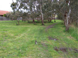 Aitken Creek