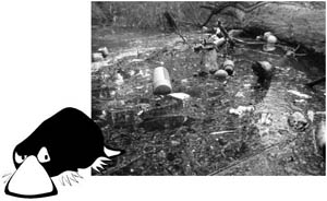 platypus and rubbish in the creek