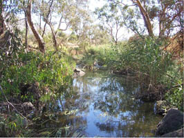 Merri Creek Preston - once surrounded by majestic trees, diverse aquatic vegetation and a chorus of frog calls.  It may have looked like this prior to European settlement. Actual Photo Merri Creek at Cooper St, Epping