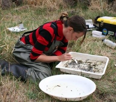 Jane the Waterwatch Coordinator