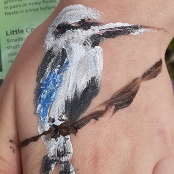 images SkinArt Kookaburra