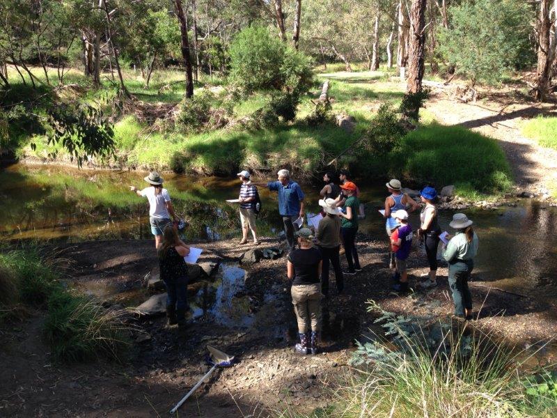Waterbug participants learning about safe sampling techniques on the Darebin Creek