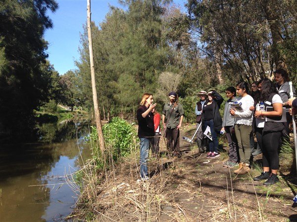 low res Ebina monitor on the Edgars Creek