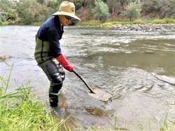 pesticide detectives sampling