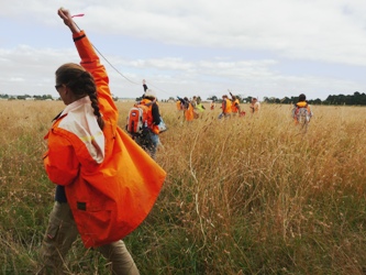 Kalkallo Gorse Monitoring