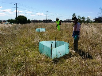 Ngarri Disturbance setup
