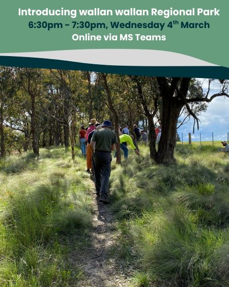 ww intro event social media tile 450px